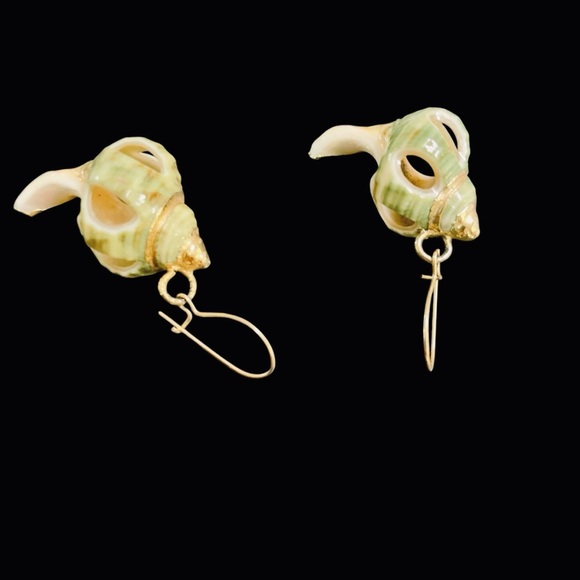 EXTRAORDINARY ~ HANDMADE ~ EXOSKELETON SHELL & GOLD TRIMMED ~ EARRINGS ~ 1" - Picture 6 of 11